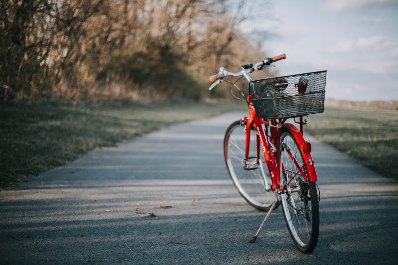 https://www.dhw-stb.de/wp-content/uploads/2019/09/christin-hume-gM1y4az4kFA-unsplash-1280x853.jpg