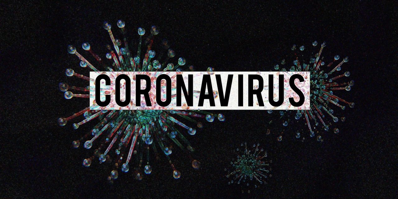 https://www.dhw-stb.de/wp-content/uploads/2020/03/coronavirus-4923544_1920-1280x640.jpg