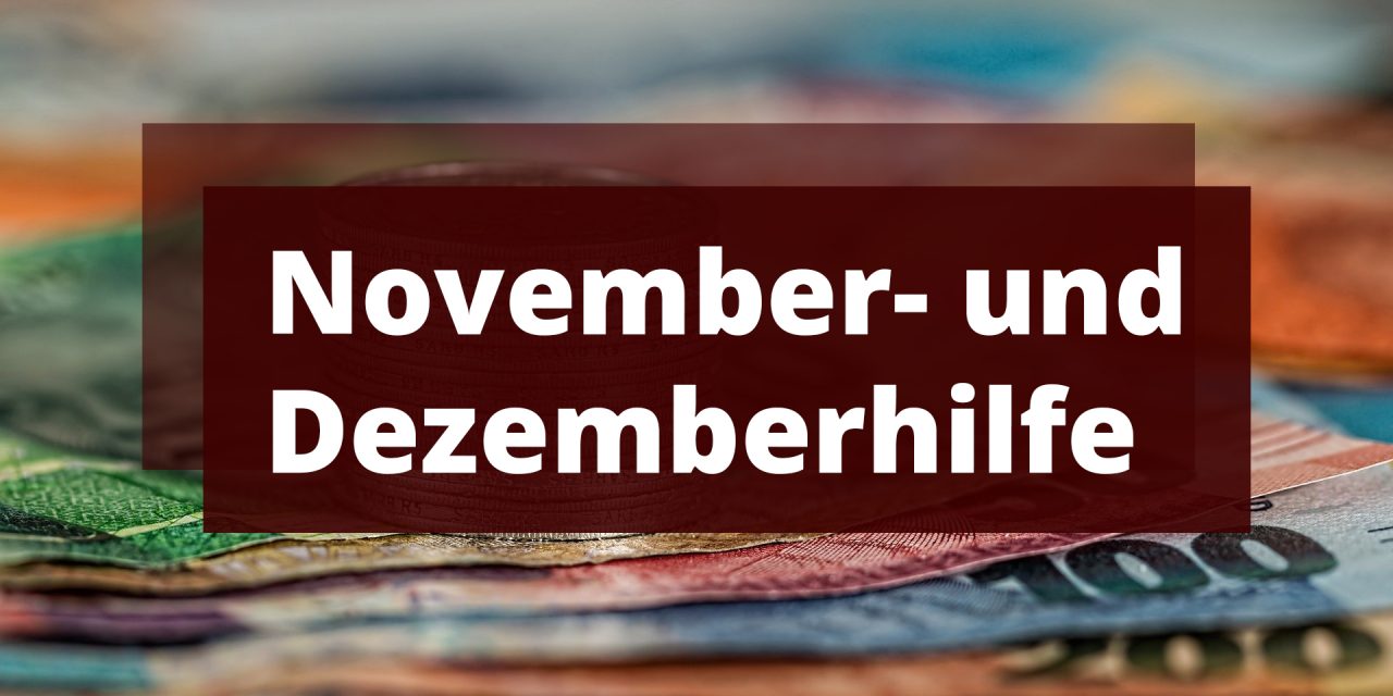 https://www.dhw-stb.de/wp-content/uploads/2021/03/November_Dezemberhilfe-1280x640.jpg